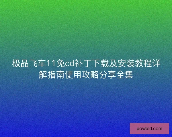 极品飞车11免cd补丁下载及安装教程详解指南使用攻略分享全集